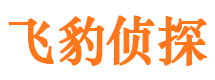 平邑私家侦探